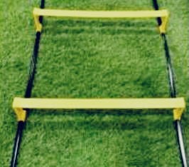 سلم حواجز حركي ارضي ٥٥٠